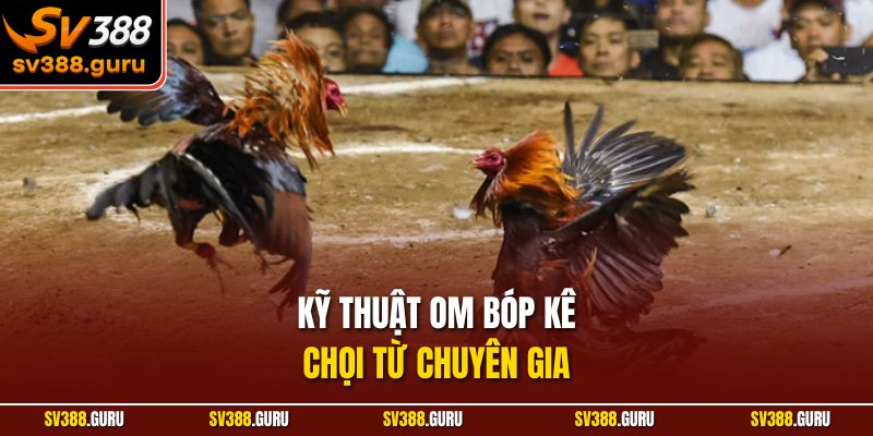 Kỹ thuật om bóp kê chọi từ chuyên gia