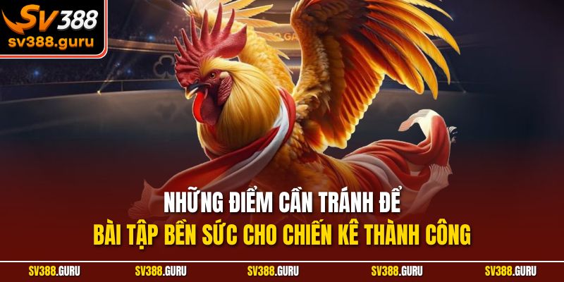 Những điểm cần tránh để bài tập bền sức cho chiến kê thành công