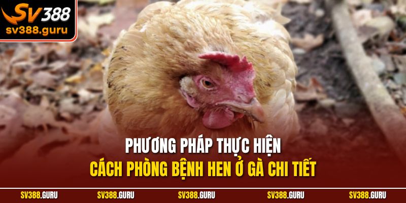 Phương pháp thực hiện cách phòng bệnh hen ở gà chi tiết