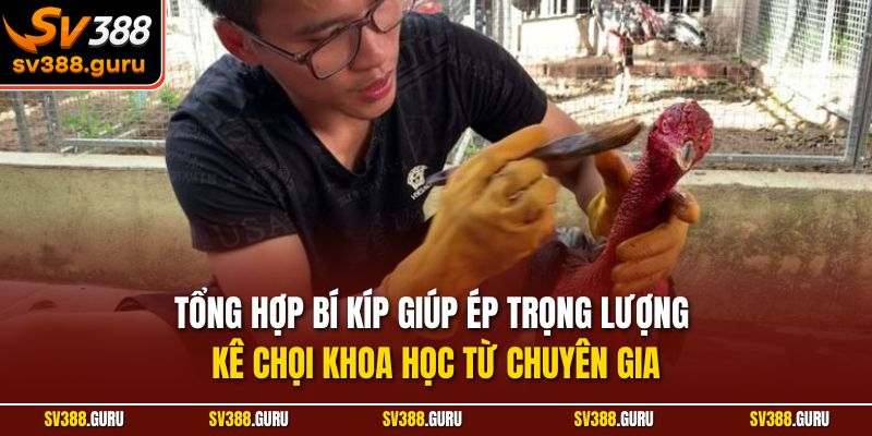 Tổng hợp bí kíp giúp ép trọng lượng kê chọi khoa học từ chuyên gia