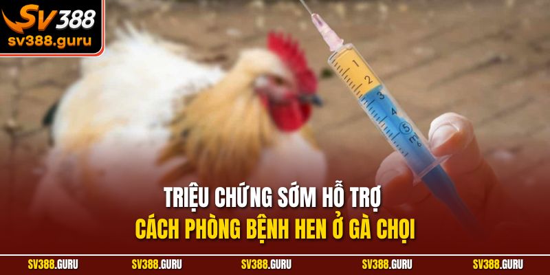 Triệu chứng sớm hỗ trợ cách phòng bệnh hen ở gà chọi