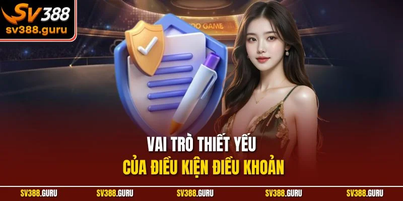 Vai trò thiết yếu của chính sách điều kiện điều khoản